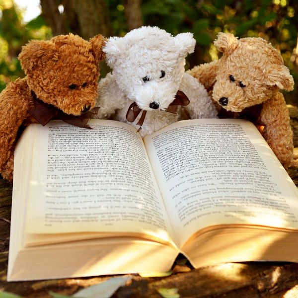 Three Teddy Bears reading a book.